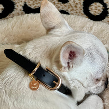 Load image into Gallery viewer, 14k Dog Tag