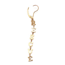 Carica l'immagine nel visualizzatore di Gallery, 14k RESCUE Statement Earring
