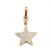 Load image into Gallery viewer, 14k Diamond Star with Dog Clip
