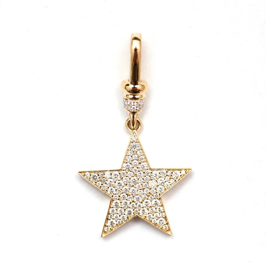 14k Diamond Star with Dog Clip