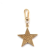 Load image into Gallery viewer, 14k Diamond Star with Dog Clip

