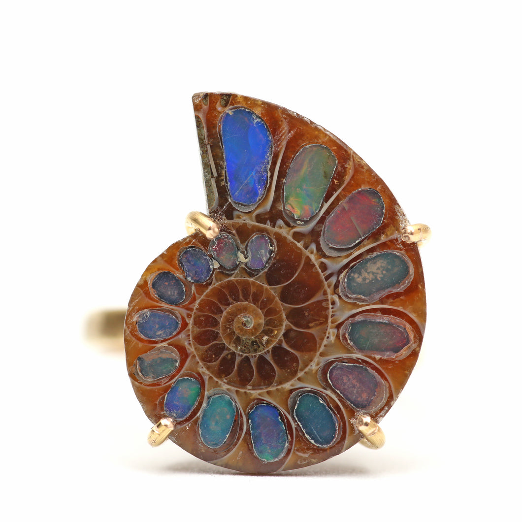14k Opal Ammonite Fossil Ring