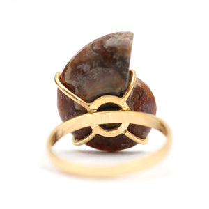 14k Opal Ammonite Fossil Ring