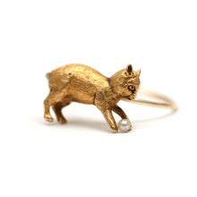 Laden Sie das Bild in den Galerie-Viewer, 14k Victorian Kitten Ring
