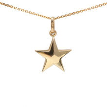 將圖片載入圖庫檢視器 14k Puffy Star Necklace
