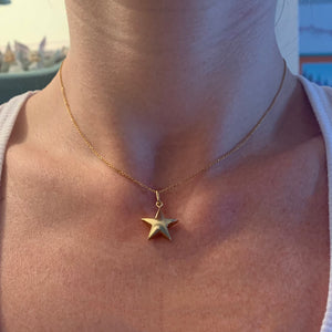 14k Puffy Star Necklace