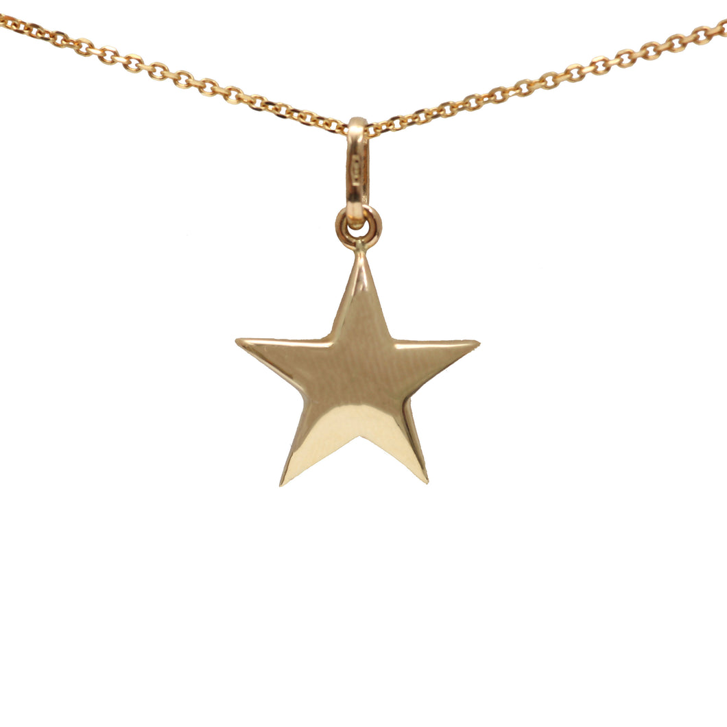 14k Puffy Star Necklace